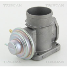 TRISCAN AGR-szelep TRISCAN 8813 24003 autóalkatrész