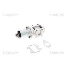 TRISCAN AGR-szelep TRISCAN 8813 24202 autóalkatrész