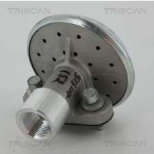 TRISCAN AGR-szelep TRISCAN 8813 29003 autóalkatrész