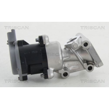 TRISCAN AGR-szelep TRISCAN 8813 29009 autóalkatrész