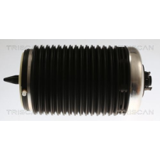 TRISCAN Légrugó, futómű TRISCAN 8720 29203 autóalkatrész