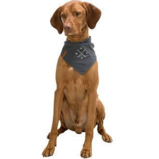 Trixie Be Nordic neckerchief - kendős nyakörv (sötétszürke, mintával) kutyák részére (M) 40cm nyakörv, póráz, hám kutyáknak
