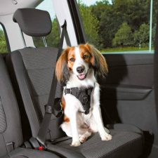 Trixie Car Harness Comfort - biztonsági hám autóba -fekete - (M) kutyák részére (50-65cm/20mm) nyakörv, póráz, hám kutyáknak