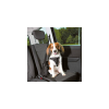 Trixie Car Harness Comfort - biztonsági hám autóba -fekete - (S-M) kutyák részére (40-55cm/17mm)