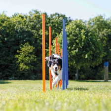 Trixie | Dog Activity játék Agility szlalom - 115x3 cm játék kutyáknak
