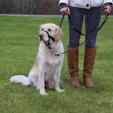  Trixie Hám Top Trainer M 27cm,fekete nyakörv, póráz, hám kutyáknak