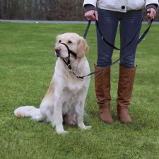 Trixie Hám Top Trainer Xl 46cm,fekete nyakörv, póráz, hám kutyáknak
