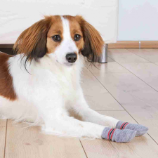  Trixie Kutyazokni Csúszásgátló talppal S-M Szürke - Otthoni viselet sérült és idős kutyáknak kutyaruha