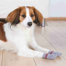  Trixie Kutyazokni Csúszásgátló talppal XXS-XS Szürke - Otthoni viselet sérült és idős kutyáknak kutyaruha