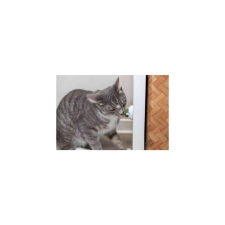 Trixie Macskajáték, Catnip Labda Tartóval, 5 cm, 42242 játék macskáknak