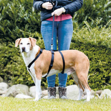 Trixie masszív tartó hám kutyáknak (75-100 cm | 25 mm) nyakörv, póráz, hám kutyáknak