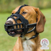 Trixie Muzzle Flex szilikon szájkosár neoprénnel bélelt szíjjal (S; Homlokpánt: 20 cm, Nyakpánt: 20 cm pl.: Jack Russel Terrier)