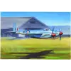  Trumpeter DE Havilland Hornet F.1 1:48 (02893)