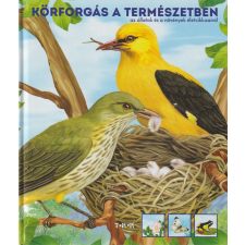 TTK Körforgás a természetben antikvárium - használt könyv