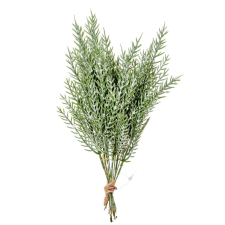  Tuja köteg deres 12ágú M26cm dekorációs kellék