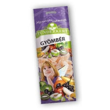 Tündérkert Aszalt cukrozott gyömbér 100g alapvető élelmiszer