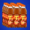  Tutti Juice TEA Peach 0,5l PET-DRS