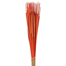  Typha indiai narancs 35db-os dekorációs kellék