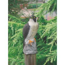 Ubbink Állatfigura, Sólyom, , 40 cm játékfigura