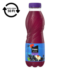 Üdítőital szénsavmentes CAPPY Ice Fruit Erdei gyümölcs 12% 0,5L DRS üdítő, ásványviz, gyümölcslé