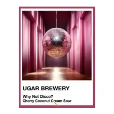  Ugar SPECTRUM SERIES – Why Not Disco? (0,5L) (7%) sör