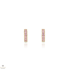 Újvilág Kollekció Arany karika fülbevaló - 96-0667-PIN-SCS fülbevaló