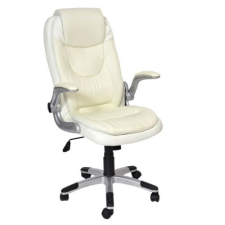 Unic Spot Vezetői forgószék, exclusive, fehér-bézs, US 29, BRISTOL, 9203320 forgószék
