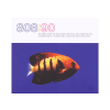 UNIONSQUARE 808 State - 90 (Cd)