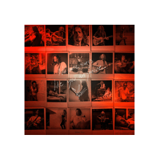 Universal Music Chris Cornell - No One Sings Like You Anymore (Vinyl LP (nagylemez)) alternatív