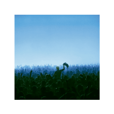 Universal Music Duke Dumont - Union (Vinyl LP (nagylemez)) elektronikus