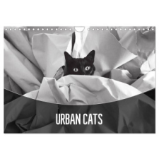 Urban Cats (Wall Calendar 2024 DIN A4 landscape), CALVENDO 12 Month Wall Calendar naptár, kalendárium