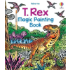 USBORNE BOOKS T. Rex Magic Painting Book | Nilesh Mistry