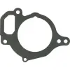 utángyártott Tömítés vízszivattyúhoz Valtra-Valmet V836120128