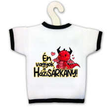  Üvegpóló, Én vagyok a házisárkány KPX096 ajándéktárgy