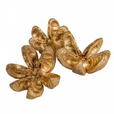  Vad narancs szárított arany 12db-os dekorációs kellék