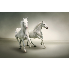  Vágtató fehér lovak tapéta, 400 x 250 cm tapéta, díszléc és más dekoráció