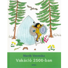 Vakáció 2500-ban (2. kiadás) gyermek- és ifjúsági könyv