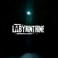 Valko Game Studios Labyrinthine (Digitális kulcs - PC) videójáték
