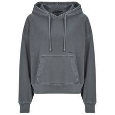 Vans Pulóverek W RETRO PO HOODIE Szürke EU XL női pulóver, kardigán