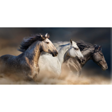  Vászon festmény, MÉDIA, Cai14, 105 x 70 cm grafika, keretezett kép