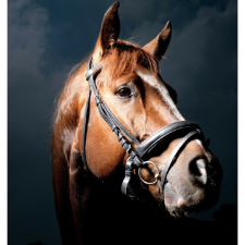  Vászon festmény, MEDIA, Cai20, 105 x 70 cm grafika, keretezett kép