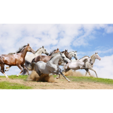  Vászon festmény, MÉDIA, Cai8, 105 x 70 cm grafika, keretezett kép