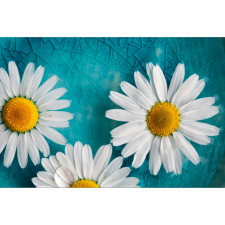  Vászon festmény, MÉDIA, Fehér krizantémok, 105 x 70 cm grafika, keretezett kép