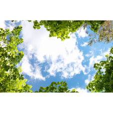  Vászon festmény, MÉDIA, Fejjel a felhőkben, 105 x 70 cm grafika, keretezett kép