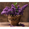  Vászon festmény, MEDIA, Kosár lila virággal, 105 x 70 cm