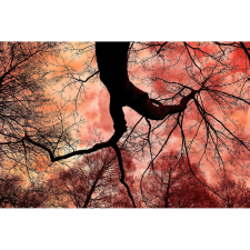  Vászon festmény, MÉDIA, Lángoló ég, 105 x 70 cm grafika, keretezett kép