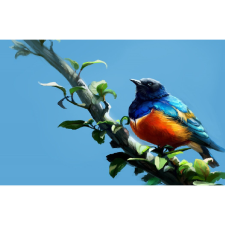  Vászon festmény, MEDIA, Madarak1, 105 x 70 cm grafika, keretezett kép