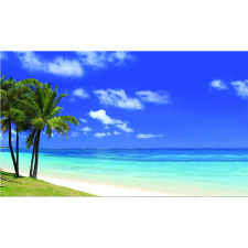  Vászon festmény, MÉDIA, Pálmafák a tengeri szellőben, 105 x 70 cm grafika, keretezett kép