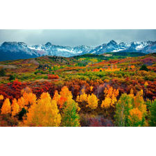  Vászon festmény, MÉDIA, Szivárvány erdő, 105 x 70 cm grafika, keretezett kép