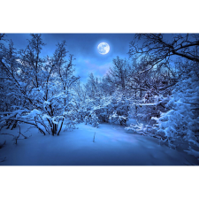  Vászon festmény, MEDIA, Téli holdfény, 105 x 70 cm grafika, keretezett kép